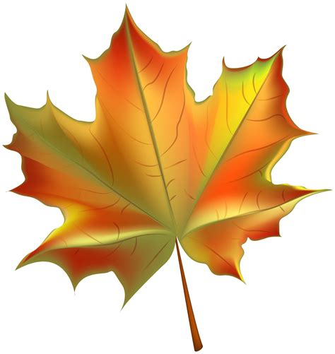 autumn leaf clip art